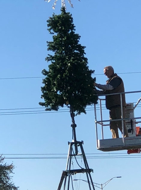 Commercial Christmas Tree Installation