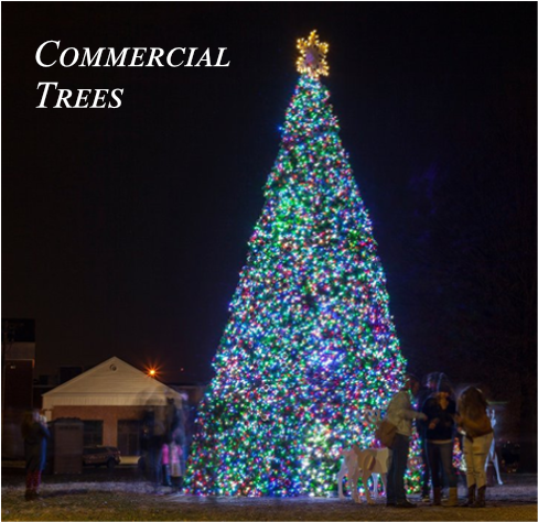 Commercial Trees Installation